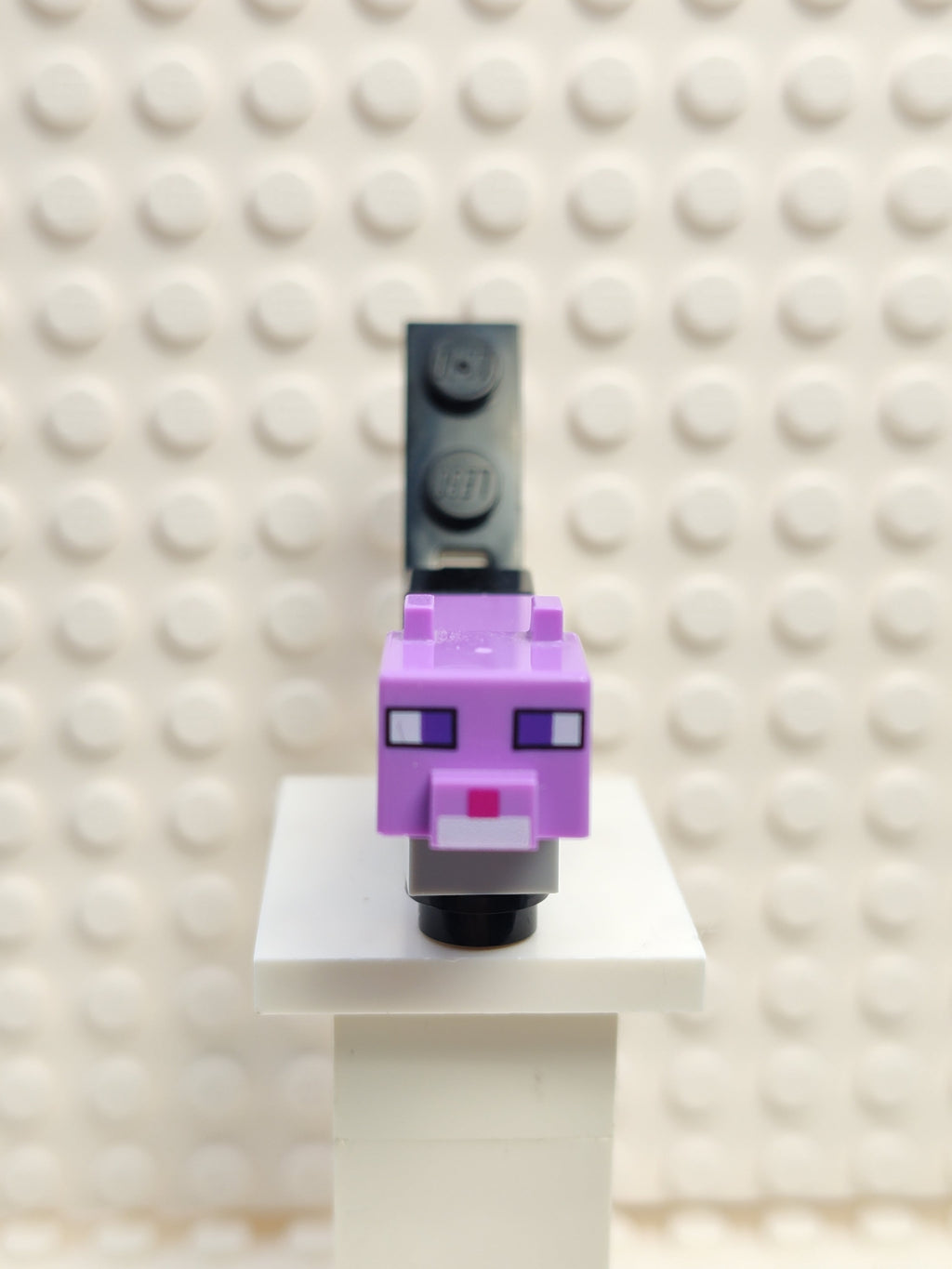 Minecraft Cat Dyed, minecat03