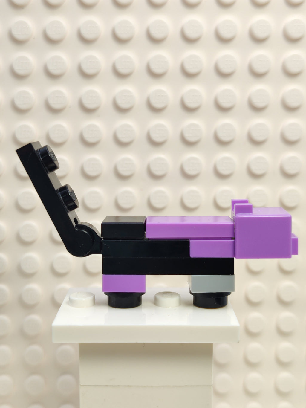 Minecraft Cat Dyed, minecat03