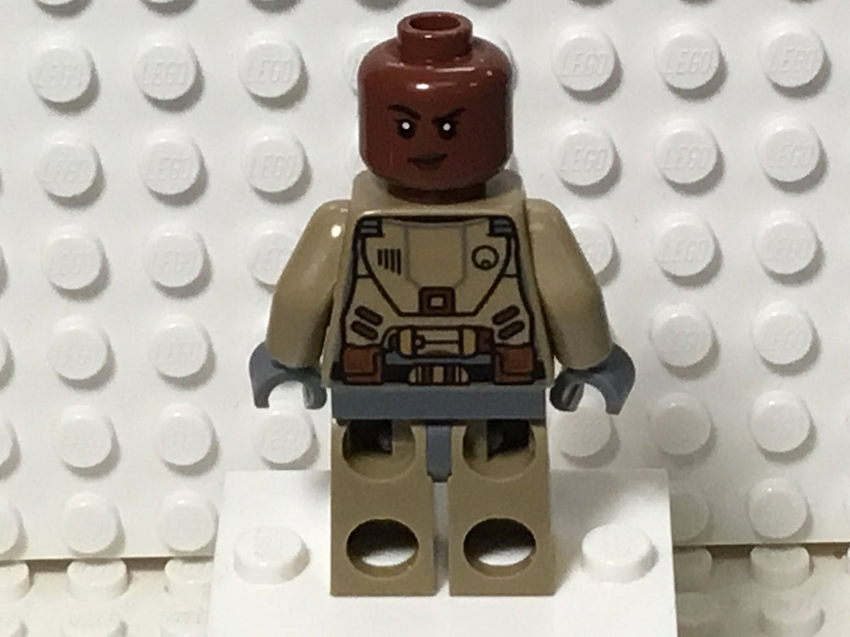 Izzy Hawthorne, dis071, LEGO® Disney Minifigure