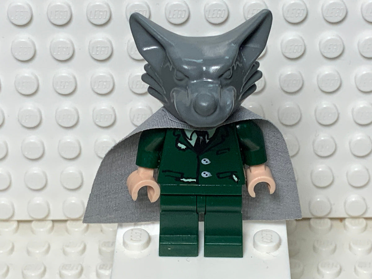 Professor Remus Lupin, hp062